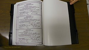 Laurens Co, GA, Marriages Book T, 1929 - 1938, Colored, P 586.JPG