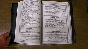Laurens Co, GA, Marriages Book W, 1944 - 1955, White, P 312-313.JPG