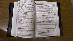 Laurens Co, GA, Marriages Book W, 1944 - 1955, White, P 444-445.JPG