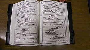 Laurens Co, GA, Marriages Book W, 1944 - 1955, White, P 560-561.JPG