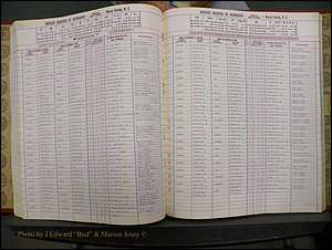 Macon Marriage Index, Male & Female, 1828-1982 785.JPG