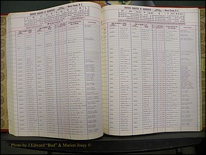 Macon Marriage Index, Male & Female, 1828-1982 793.JPG