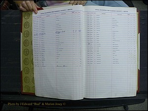 Madison Births & Deaths, Book 2, L-Z, + Delayed Book 2 006.JPG