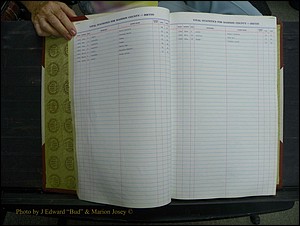 Madison Births & Deaths, Book 2, L-Z, + Delayed Book 2 029.JPG