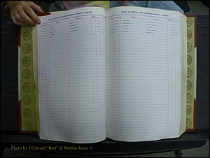 Madison Births & Deaths, Book 2, L-Z, + Delayed Book 2 058.JPG
