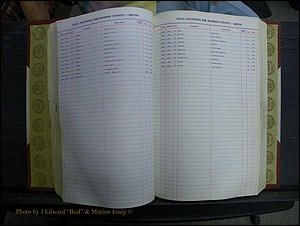 Madison Births & Deaths, Book 2, L-Z, + Delayed Book 2 091.JPG