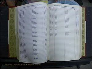 Madison Births & Deaths, Book 2, L-Z, + Delayed Book 2 093.JPG