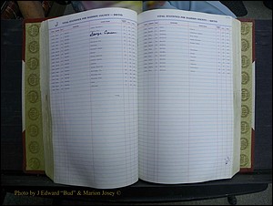 Madison Births & Deaths, Book 2, L-Z, + Delayed Book 2 110.JPG