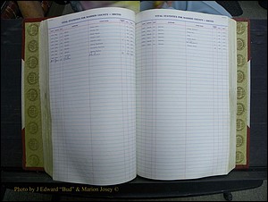 Madison Births & Deaths, Book 2, L-Z, + Delayed Book 2 117.JPG