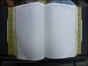 Madison Births & Deaths, Book 2, L-Z, + Delayed Book 2 121.JPG