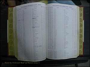 Madison Births & Deaths, Book 2, L-Z, + Delayed Book 2 133.JPG