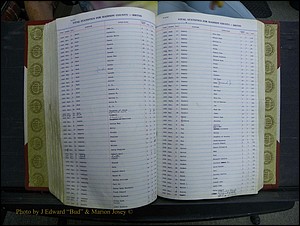 Madison Births & Deaths, Book 2, L-Z, + Delayed Book 2 171.JPG