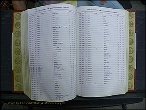 Madison Births & Deaths, Book 2, L-Z, + Delayed Book 2 176.JPG