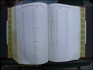 Madison Births & Deaths, Book 2, L-Z, + Delayed Book 2 238.JPG