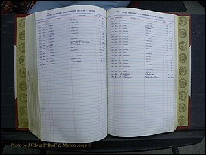 Madison Births & Deaths, Book 2, L-Z, + Delayed Book 2 246.JPG