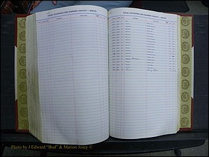 Madison Births & Deaths, Book 2, L-Z, + Delayed Book 2 247.JPG