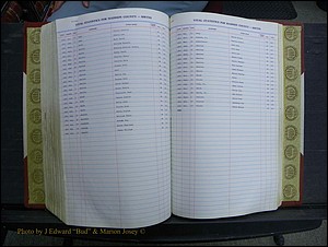 Madison Births & Deaths, Book 2, L-Z, + Delayed Book 2 248.JPG