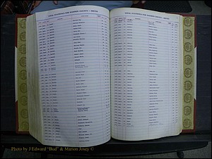 Madison Births & Deaths, Book 2, L-Z, + Delayed Book 2 252.JPG