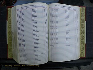 Madison Births & Deaths, Book 2, L-Z, + Delayed Book 2 253.JPG