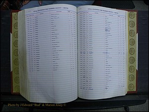 Madison Births & Deaths, Book 2, L-Z, + Delayed Book 2 259.JPG
