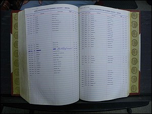 Madison Births & Deaths, Book 2, L-Z, + Delayed Book 2 274.JPG