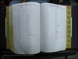 Madison Births & Deaths, Book 2, L-Z, + Delayed Book 2 286.JPG