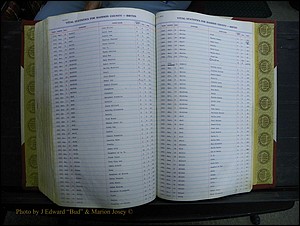 Madison Births & Deaths, Book 2, L-Z, + Delayed Book 2 287.JPG
