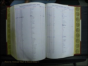 Madison Births & Deaths, Book 2, L-Z, + Delayed Book 2 289.JPG