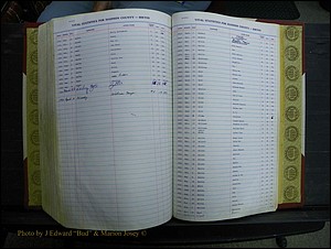 Madison Births & Deaths, Book 2, L-Z, + Delayed Book 2 293.JPG