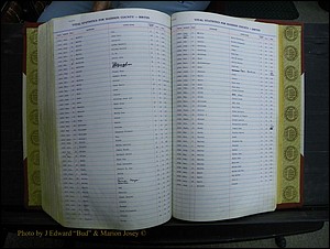 Madison Births & Deaths, Book 2, L-Z, + Delayed Book 2 295.JPG