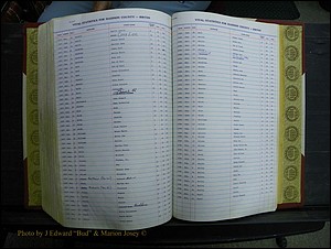 Madison Births & Deaths, Book 2, L-Z, + Delayed Book 2 296.JPG