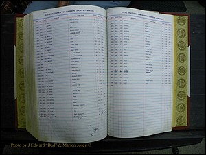 Madison Births & Deaths, Book 2, L-Z, + Delayed Book 2 297.JPG