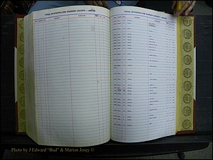 Madison Births & Deaths, Book 2, L-Z, + Delayed Book 2 314.JPG