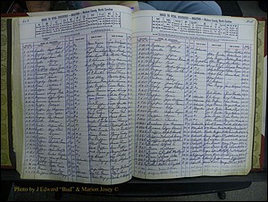 Madison Book 2, L-Z, + Delayed Book 2 392 (126).JPG
