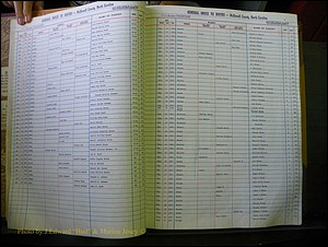 McDowell Births & Deaths 377.JPG