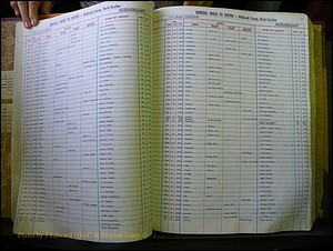 McDowell Births & Deaths 412.JPG