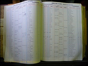 McDowell Births & Deaths 423.JPG