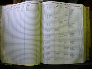 McDowell Births & Deaths 429.JPG