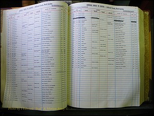 McDowell Births & Deaths 433.JPG