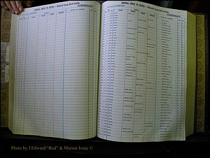 McDowell Births & Deaths 101.JPG