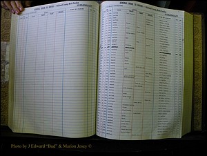 McDowell Births & Deaths 105.JPG