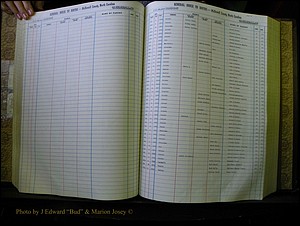 McDowell Births & Deaths 110.JPG