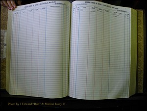 McDowell Births & Deaths 111.JPG