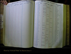 McDowell Births & Deaths 113.JPG