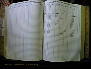 McDowell Births & Deaths 115.JPG