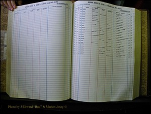 McDowell Births & Deaths 120.JPG