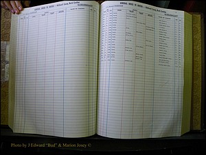 McDowell Births & Deaths 121.JPG