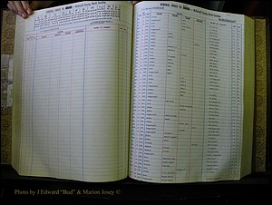 McDowell Births & Deaths 133.JPG