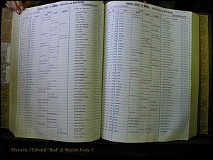 McDowell Births & Deaths 142.JPG