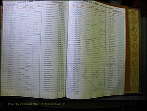 McDowell Births & Deaths 334.JPG